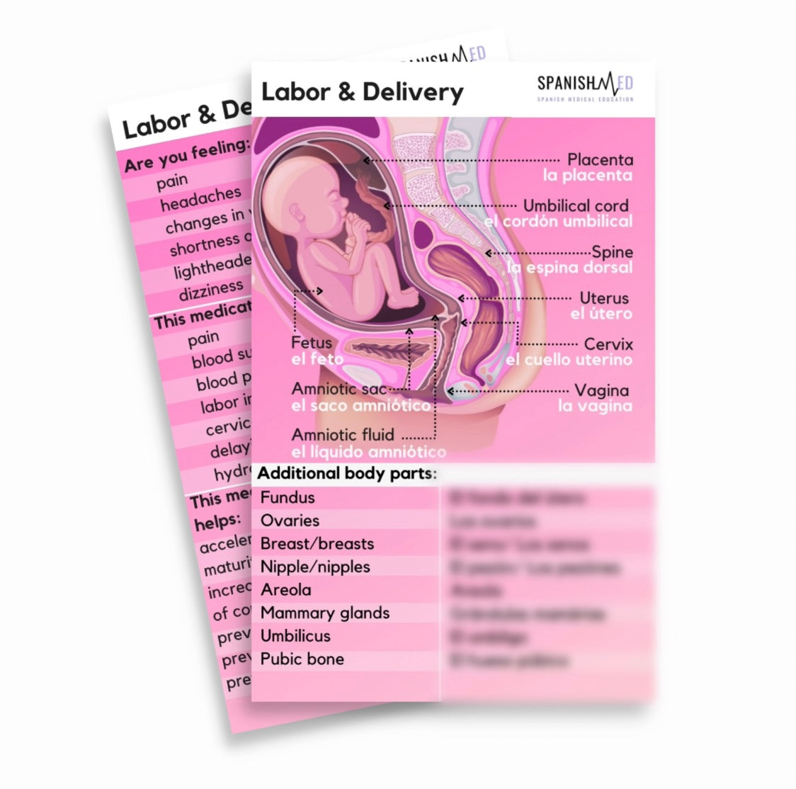 Labor and Delivery Spanish Translation Badges